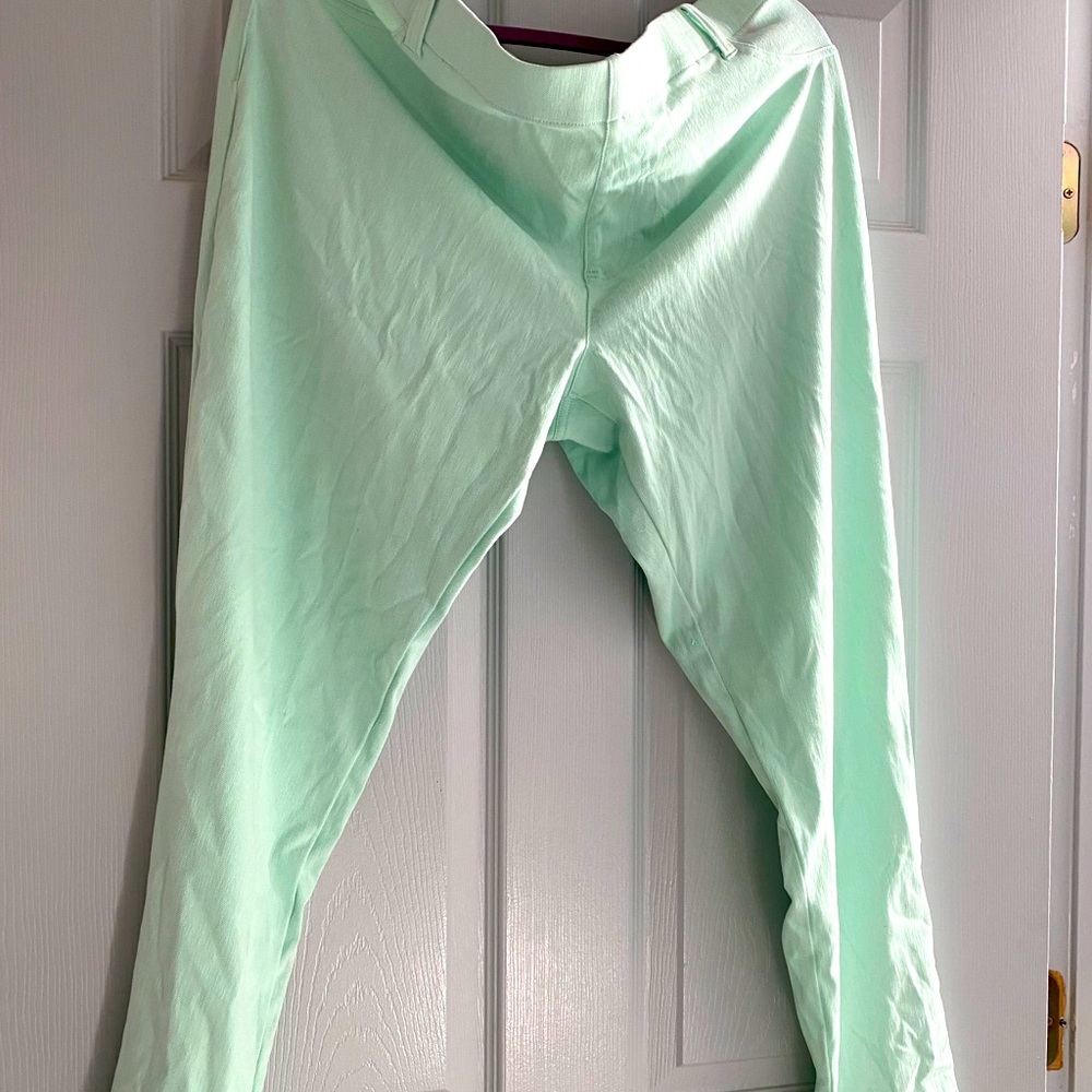 Mint jeggings